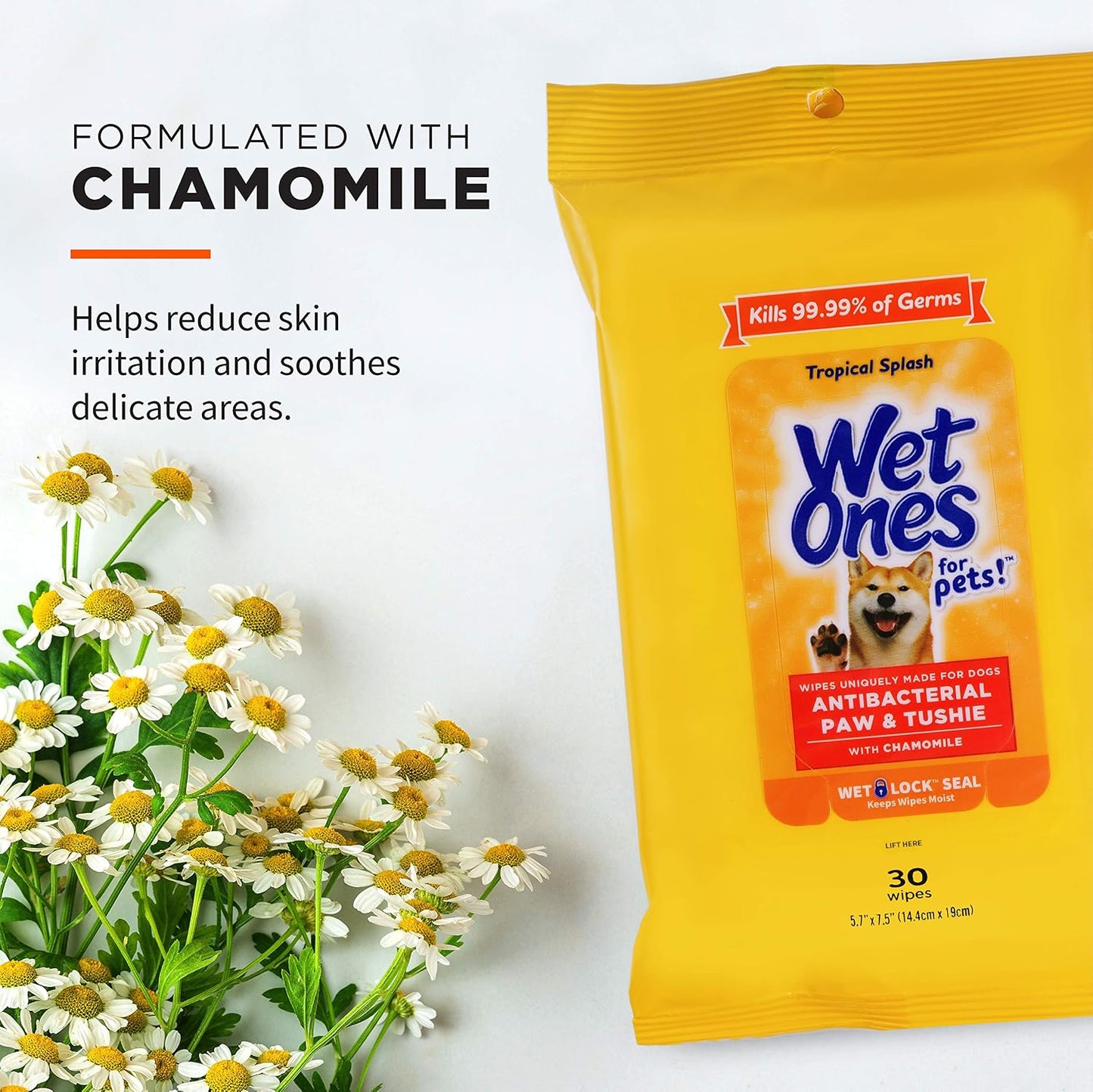 for Pets Paw and Tushie Dog Wipes, Tropical Splash, 30 Count | Chamomile-Infused Wipes, Wet-Lock Seal, Tropical Splash Scent, Paws and Butt Cleanup