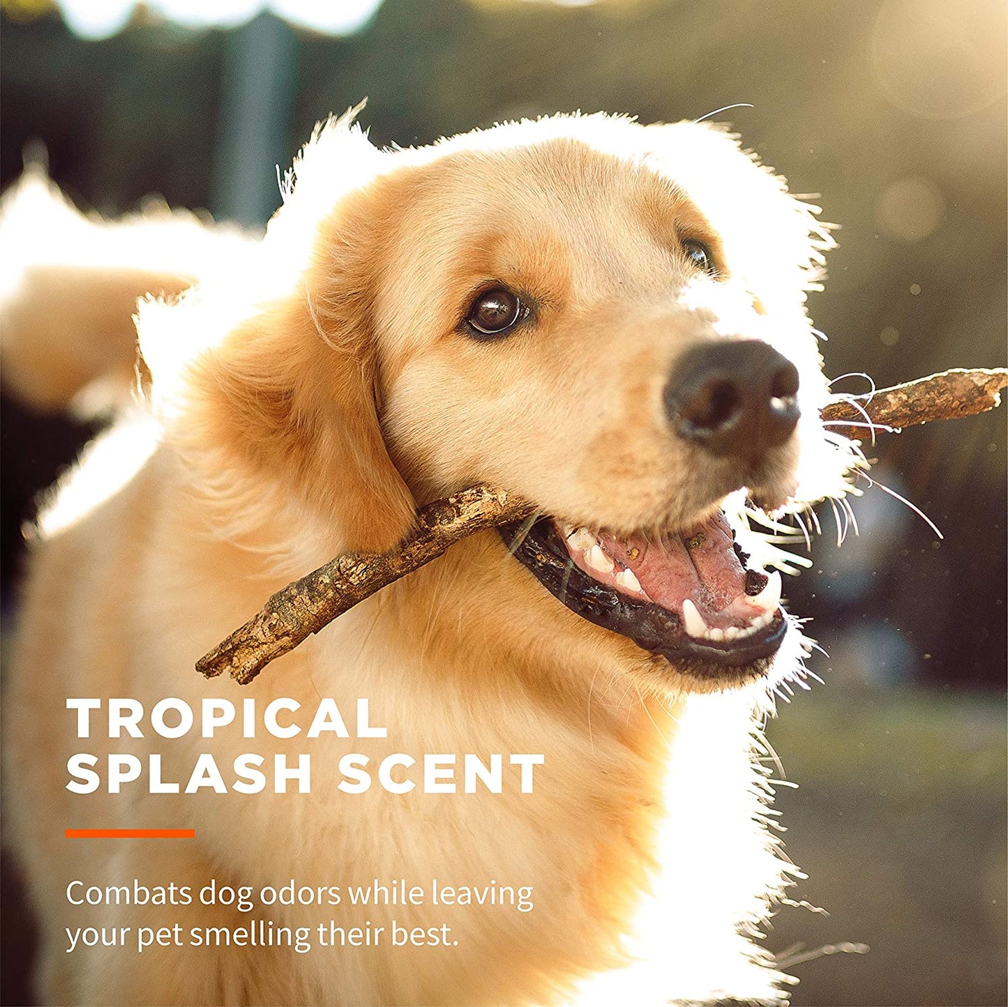 for Pets Paw and Tushie Dog Wipes, Tropical Splash, 30 Count | Chamomile-Infused Wipes, Wet-Lock Seal, Tropical Splash Scent, Paws and Butt Cleanup